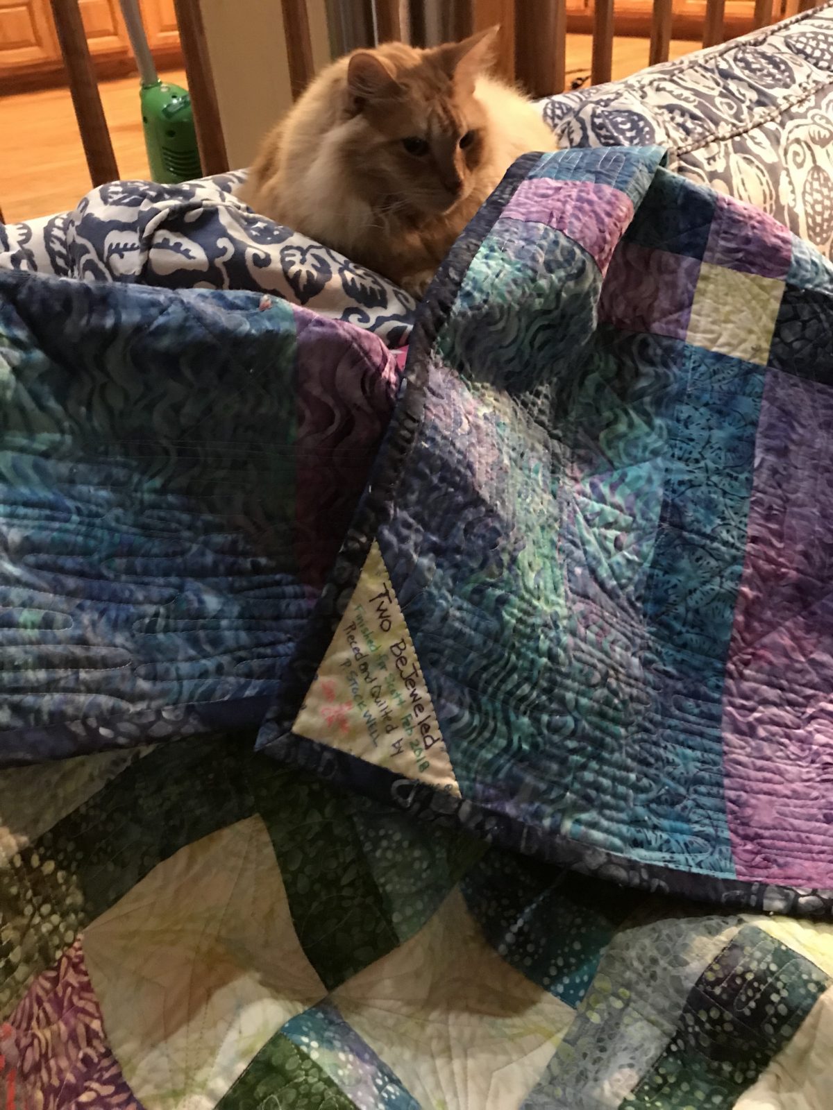 Quilting Diary: February Monthly Goal Reached!