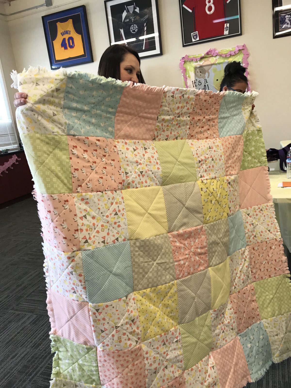 Quilt Diary: April One Monthly Goal Finish