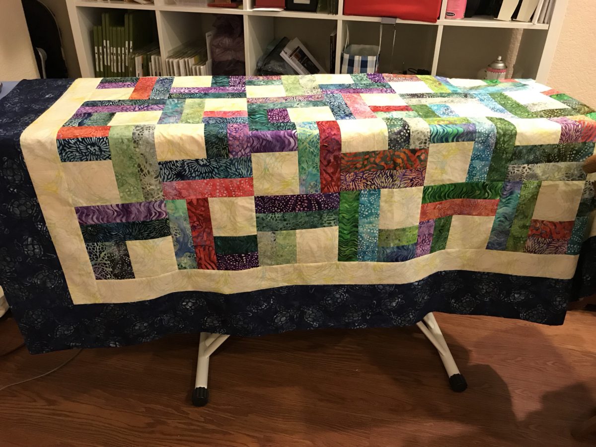 Quilt Diary: January One Monthly Goal progress