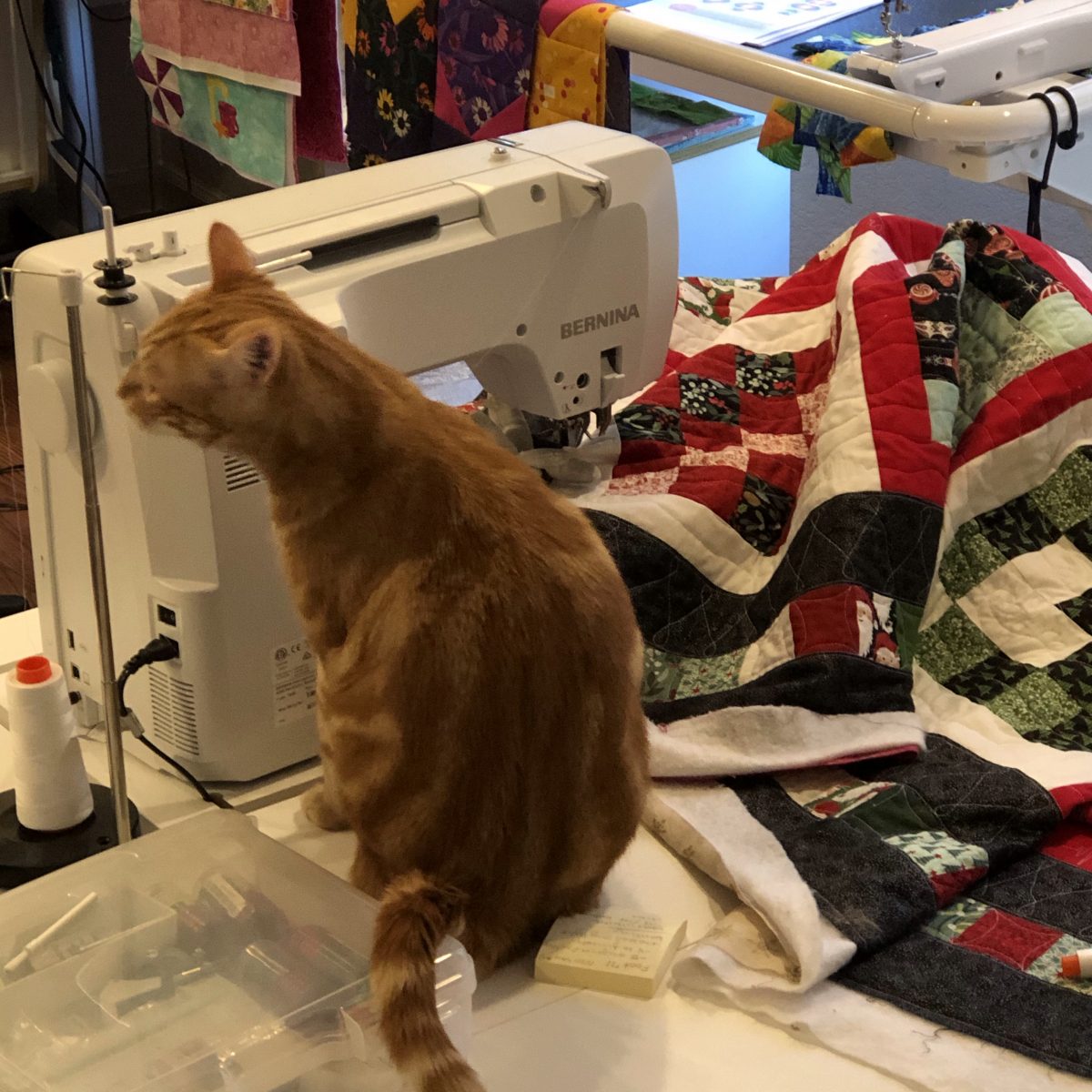 QUILT DIARY:  Under the Needle in February 2021